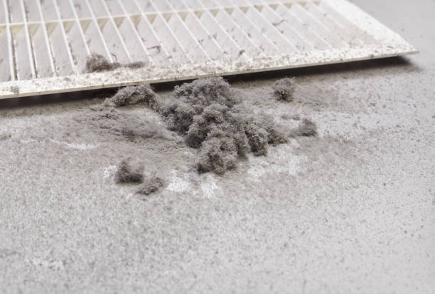 Best Air Duct Cleaning Near Me  in Arthur, IL