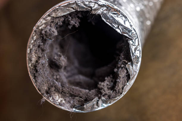 Best Residential Air Duct Cleaning  in Arthur, IL