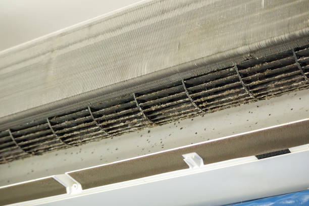 Best Air Duct Cleaning Near Me  in Arthur, IL